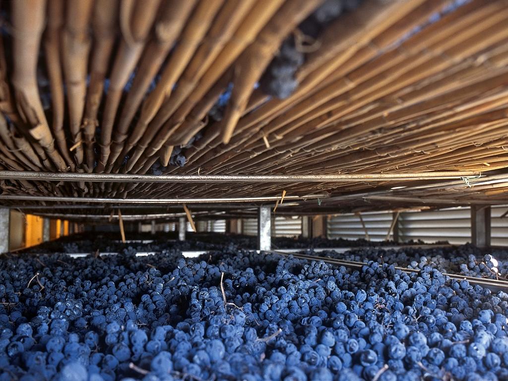 Trabucchi Amarone Della Valpolicella 2013 DOCG